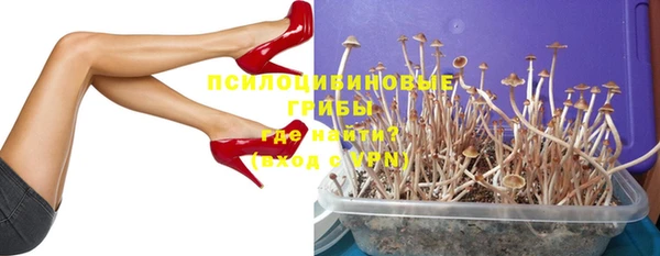 не бодяженный Вяземский