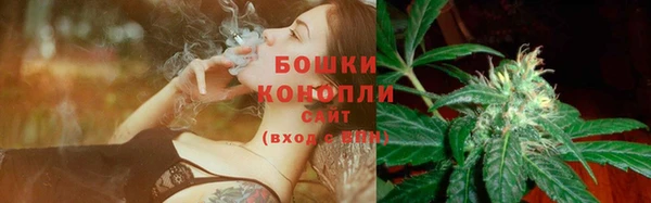 мдпв Вязники