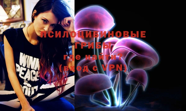 не бодяженный Вяземский