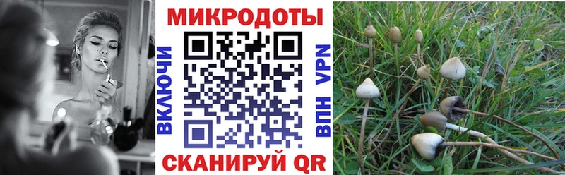 магазин    Железногорск  Галлюциногенные грибы Psilocybine cubensis 